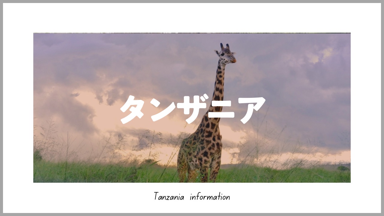 アフリカのキリン