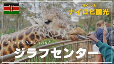 ナイロビ】キリンの舌の感触を体験！ジラフセンター入園後の流れを
