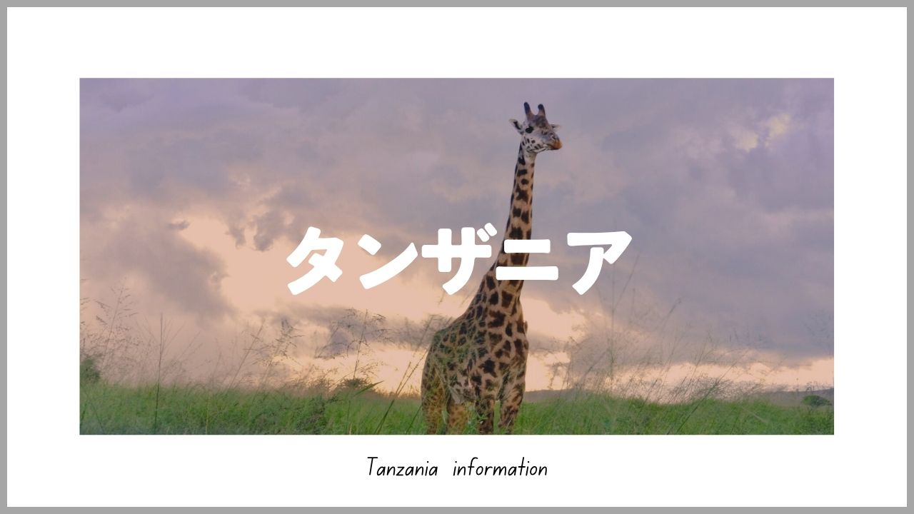タンザニア旅行ブログ｜サファリ・モシ・アルーシャ・ザンジバル・ダルエスサラーム観光