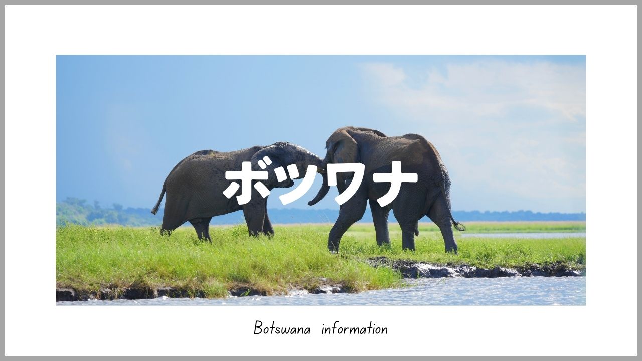 ボツワナ旅行ブログ｜ハボローネ・チョベ観光とアフリカ旅情報【たびさき】