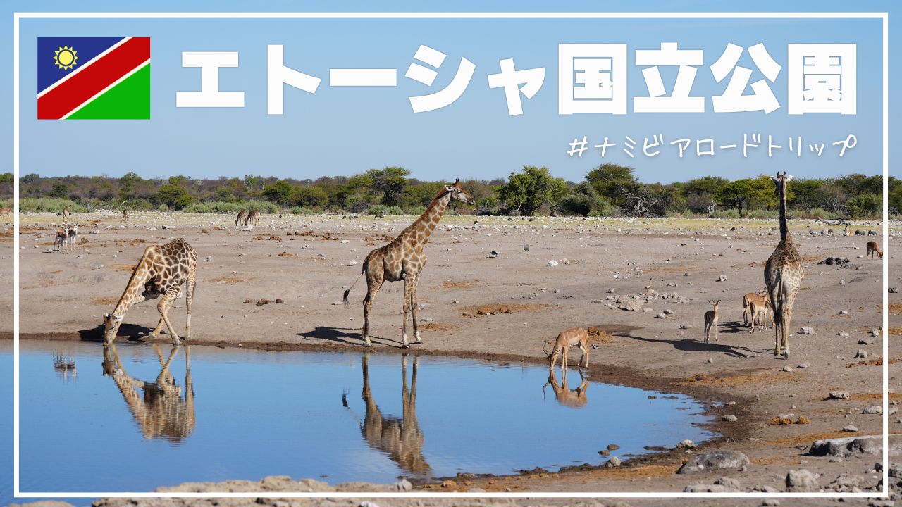アフリカの水辺に集まる野生動物