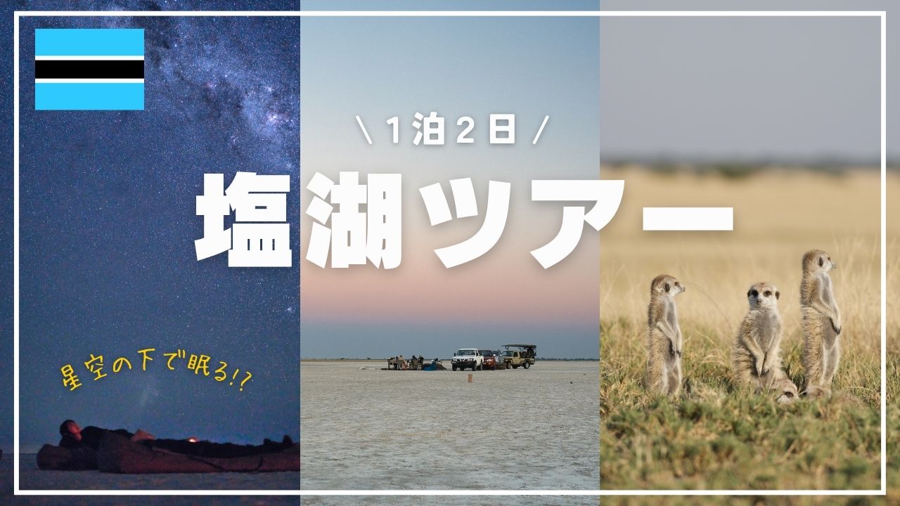 アフリカの壮大な自然と小動物
