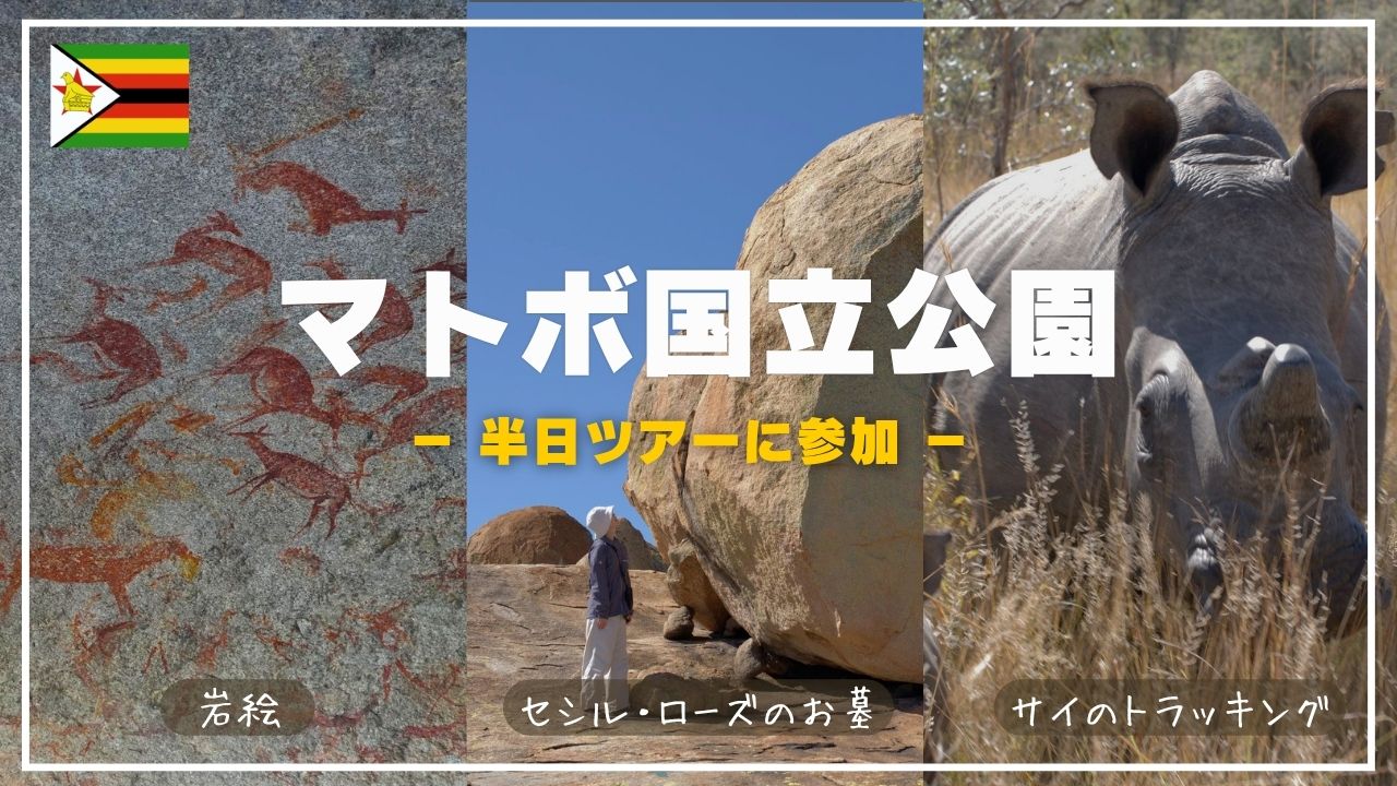 野生動物を歩いて探す